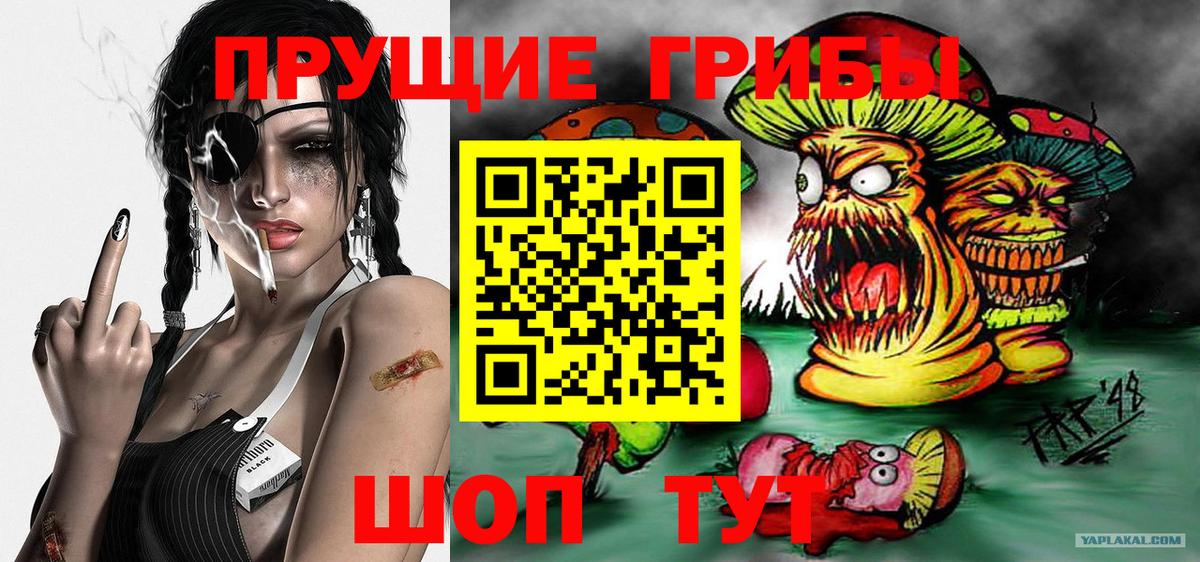 Братск  Галлюциногенные грибы прущие грибы  Псилоцибиновые грибы GOLDEN TEACHER  Вход с VPN 