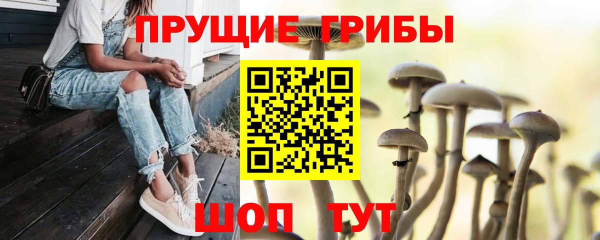 Псилоцибиновые грибы Psilocybine cubensis Братск